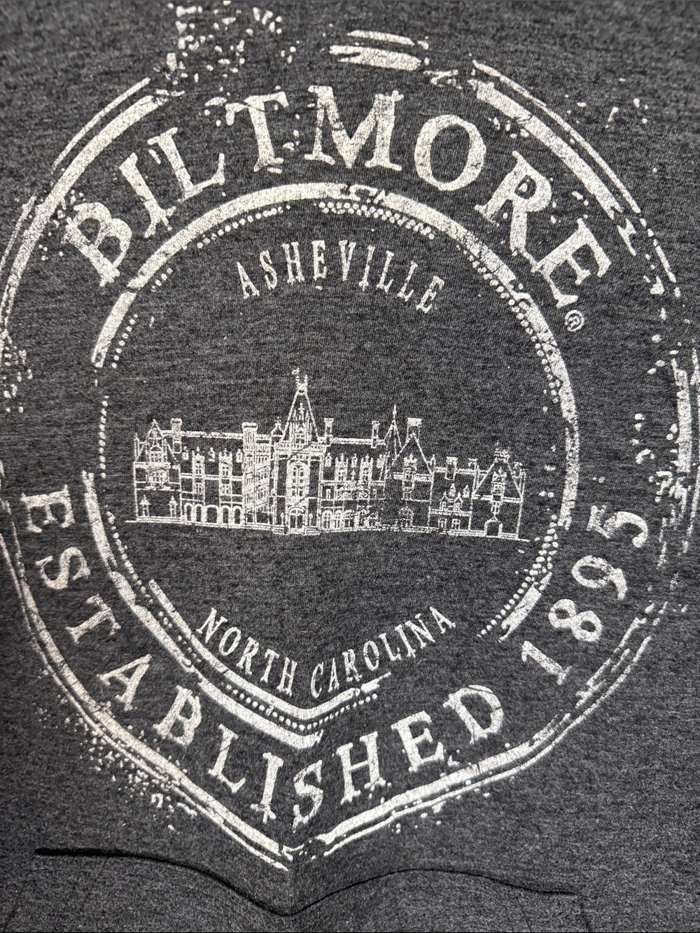 BILTMORE HOUSE Souvenir Long Sleeve Tee With Hood Small - Picture 2 of 6
